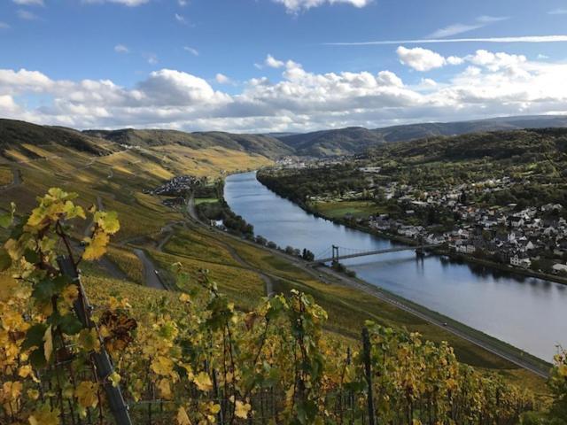 Hotel Ferien-Wein-Gut Keifer Bernkastel-Kues Zewnętrze zdjęcie