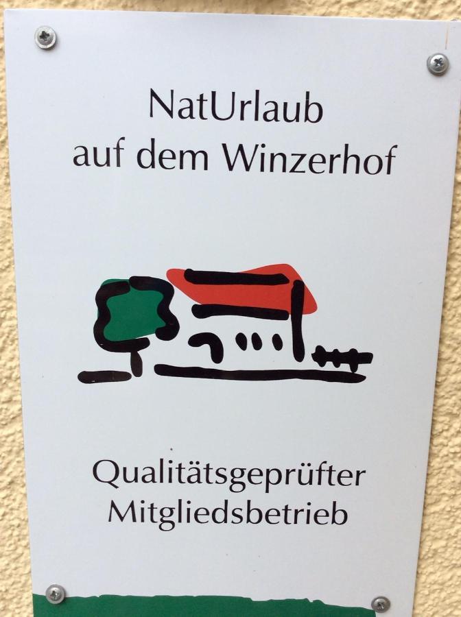 Hotel Ferien-Wein-Gut Keifer Bernkastel-Kues Zewnętrze zdjęcie