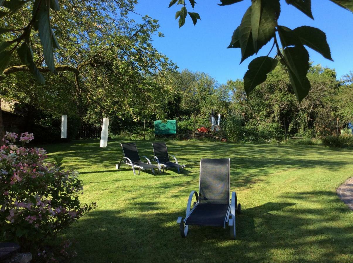 Hotel Ferien-Wein-Gut Keifer Bernkastel-Kues Zewnętrze zdjęcie
