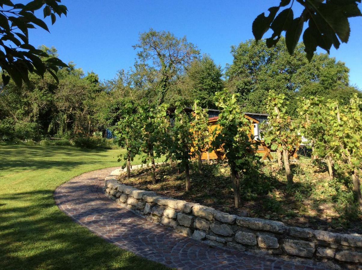 Hotel Ferien-Wein-Gut Keifer Bernkastel-Kues Zewnętrze zdjęcie